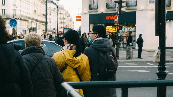 Wild Joker Casino 50 Free Spins