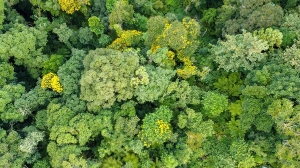 Tableau Blackjack Casino