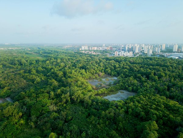 Quelles Sont Les Chances De Paiement Dans La Roulette