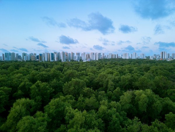 Quelle Est La Séquence Des Machines à Sous