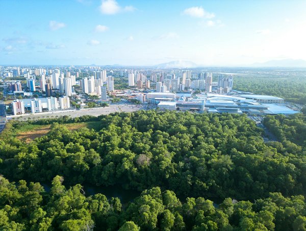 Statistiques Keno Du Mois