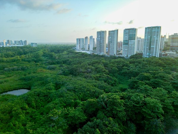 Slots Gratuits No Dépôt 2025