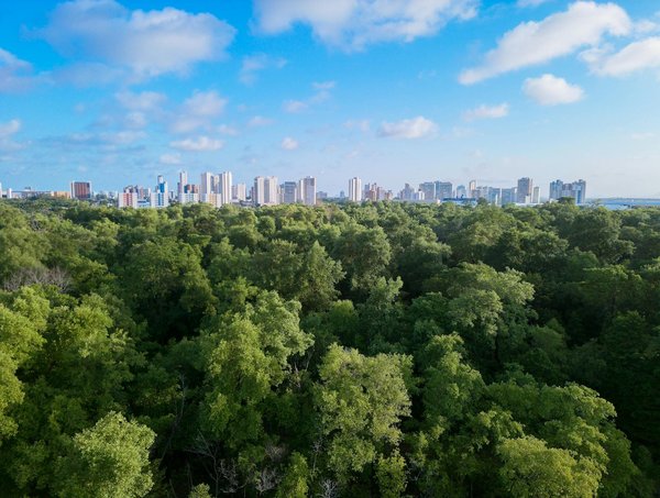 Slots Avec Bonus Gratuits