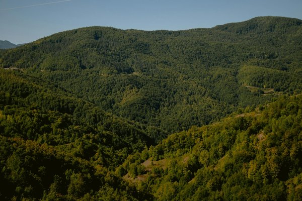 Vave Casino 50 Free Spins