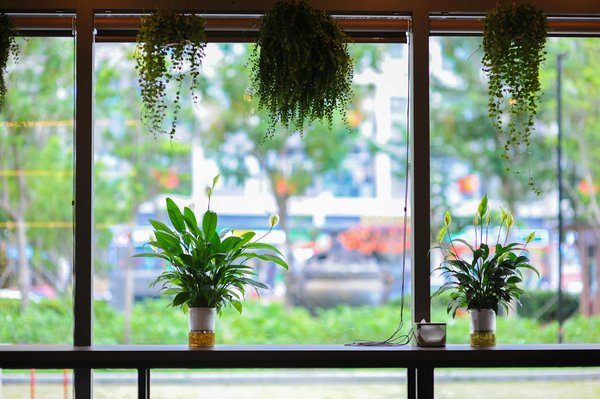 Qu Est Ce Qu Un Pari Complet à La Roulette