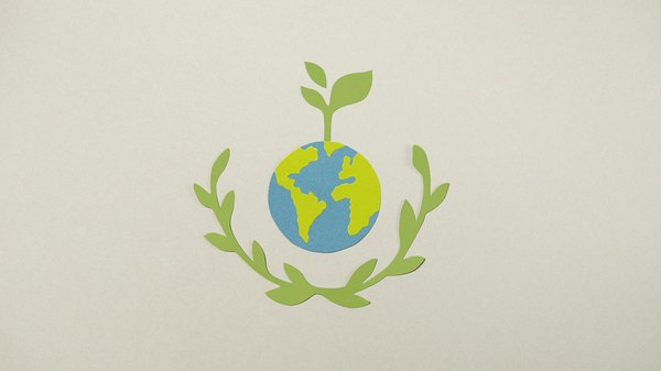 Vbet Casino Fr 2025 Review