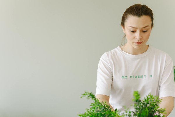 Rocketplay Casino 50 Free Spins